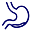 Gastroenterologia