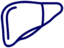 Hepatologia